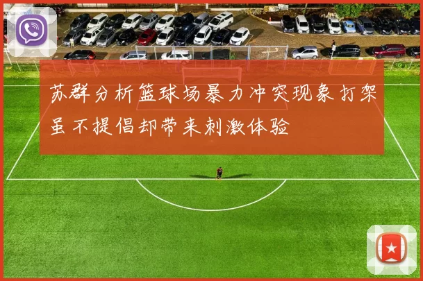 苏群分析篮球场暴力冲突现象打架虽不提倡却带来刺激体验