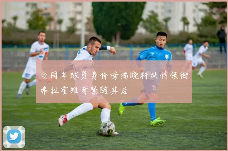 合同年球员身价榜揭晓科纳特领衔弗拉霍维奇紧随其后