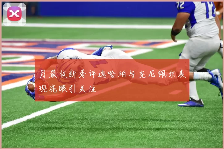 月最佳新秀评选哈珀与克尼佩尔表现亮眼引关注